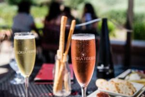 2022年世界杯冠亚军视频回放，全球球迷的激情时刻世界杯2022冠军视频回放