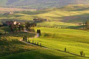 巴西世界杯重播，全球球迷的狂欢与记忆巴西世界杯重播