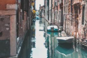 世界杯金杯，人类足球的狂欢盛宴世界杯金杯